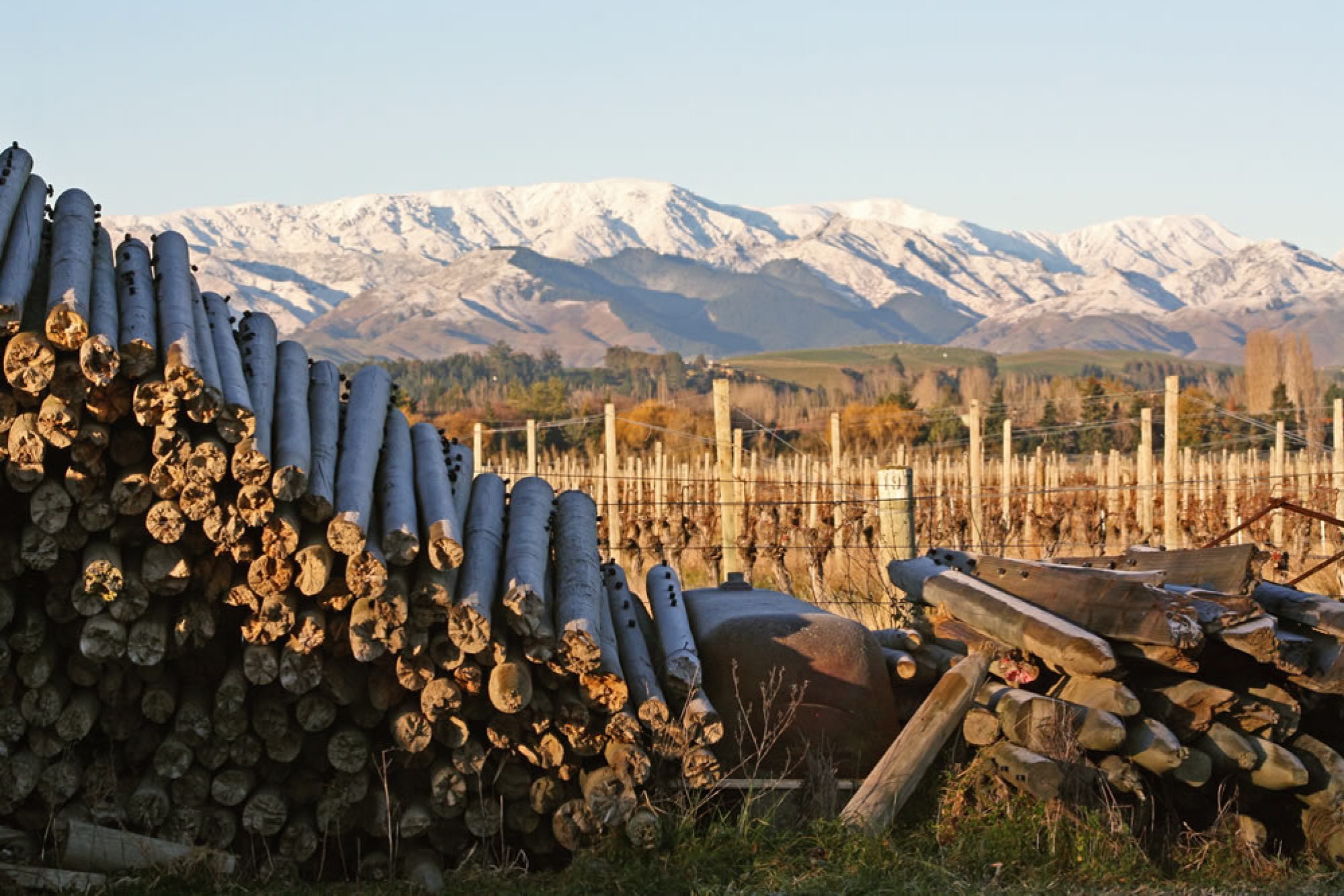 https://makersvine.com/content/uploads/2019/09/7-bladen-vineyards-winter.jpg