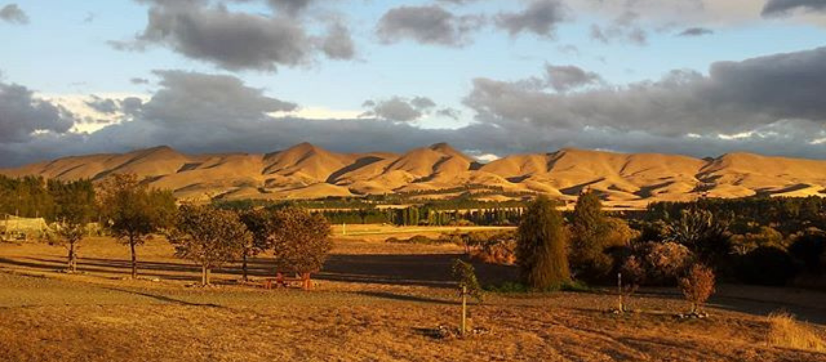 Terrace Edge Vineyard